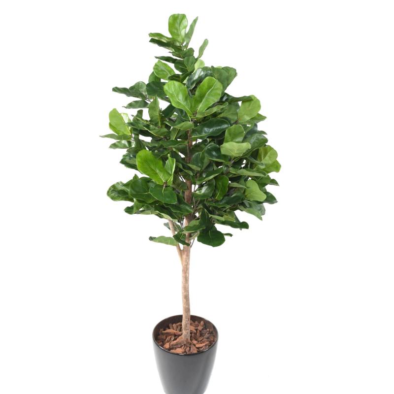 Lyrata Artificiel Royal