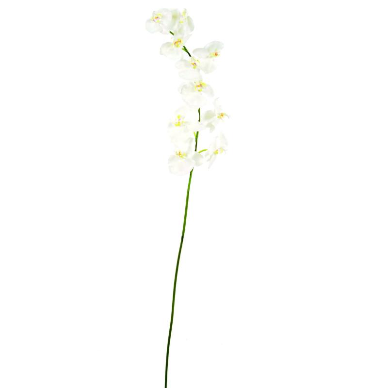 Phalaenopsis Artificielle Tige *10f