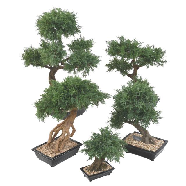 Bonsai Juniperus Artificiel en Coupe