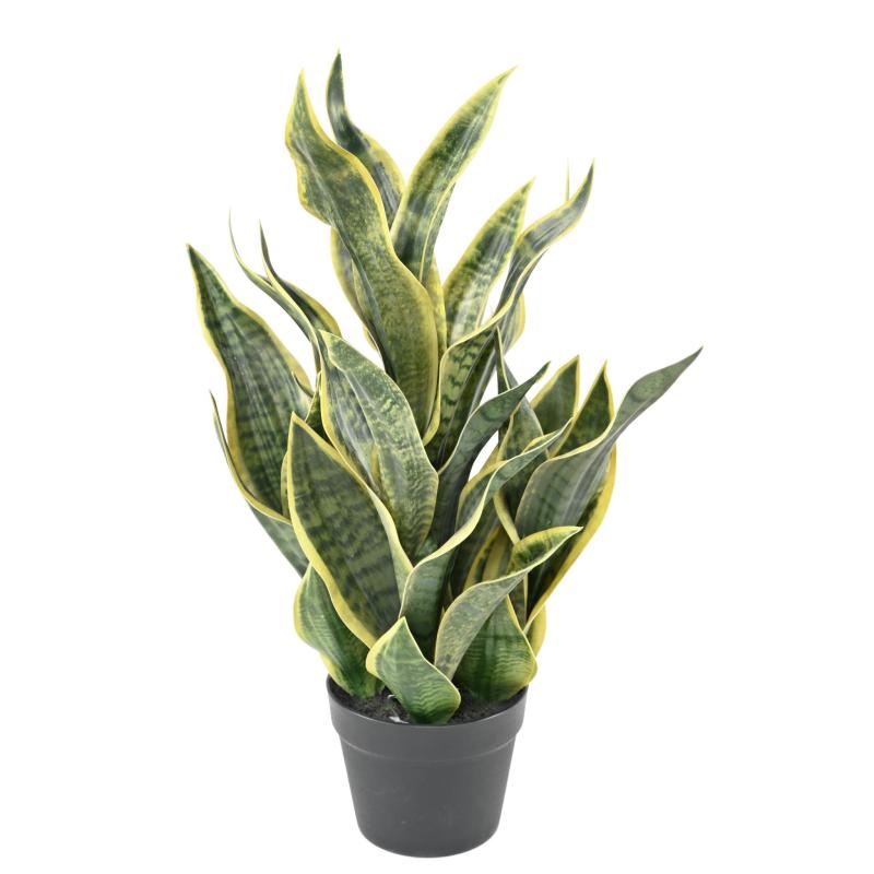 Sansevieria Artificiel Masoniana 66