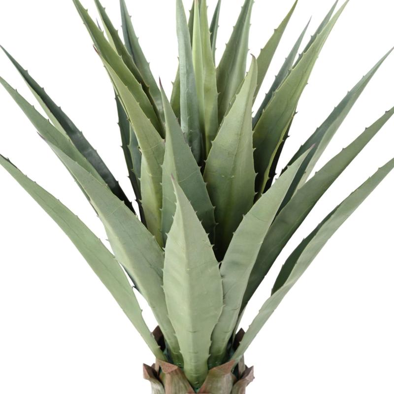 Agave Artificielle 85