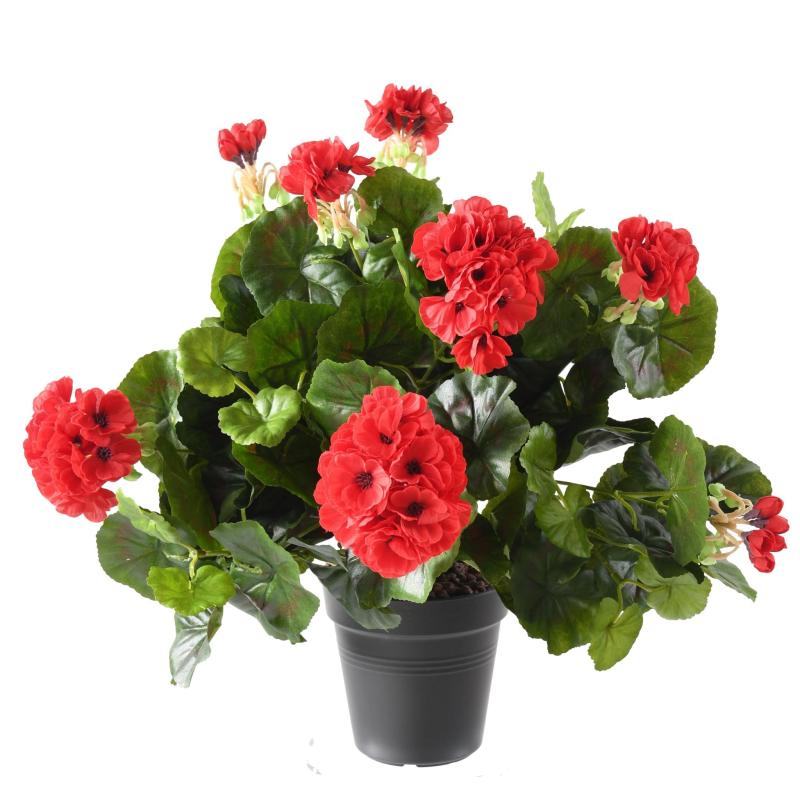Geranium Artificiel*115