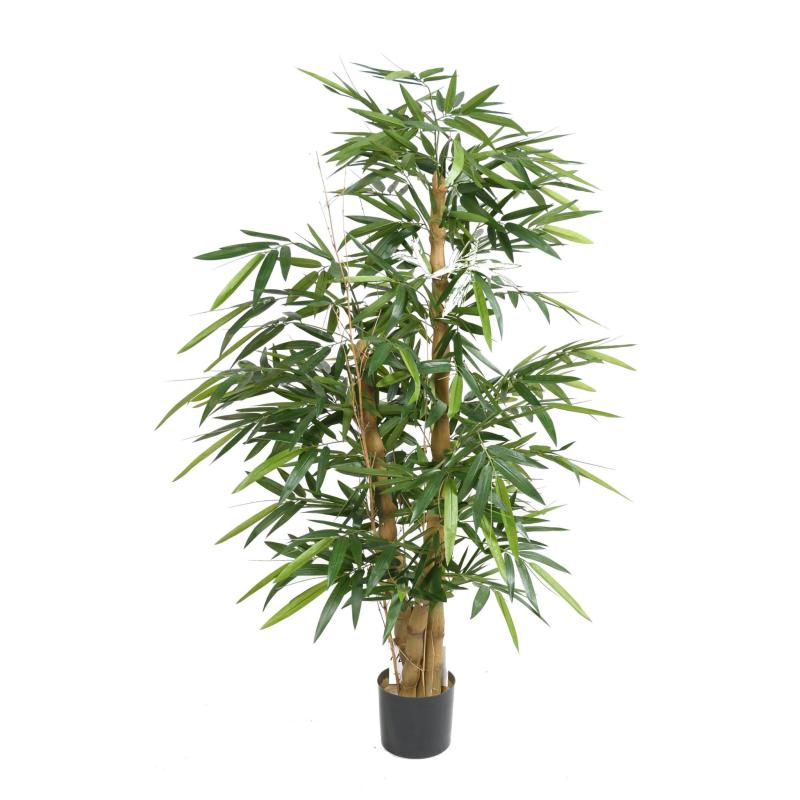 Bambou Buddha TREE