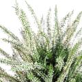 Bruyere Artificielle Large en Pot