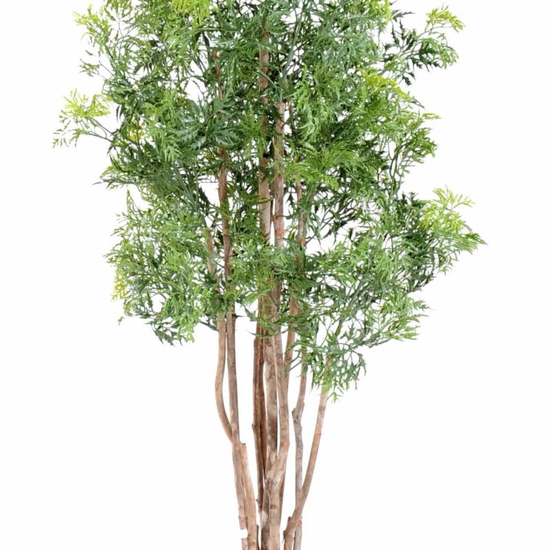 Aralia Artificiel Ming Nitida