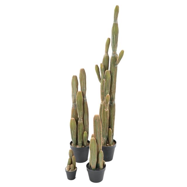 Cactus Artificiel Finger X