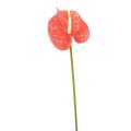 Anthurium Artificiel SPRAY 58