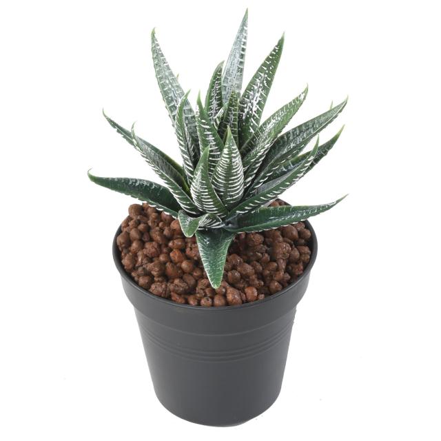 Aloe Artificielle 35 Artificielle 15cm