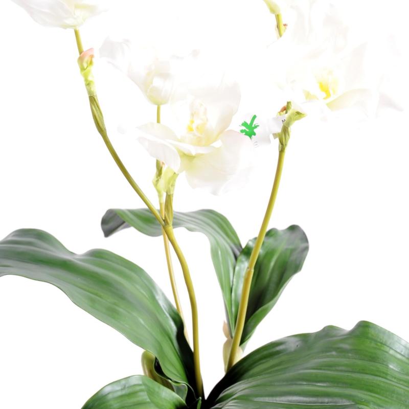 Lycaste Orchidee Artificiel