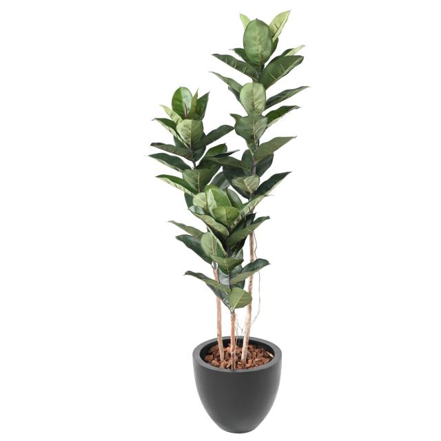 Rubber Plant Artificiel