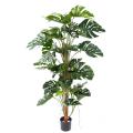 Philodendron Artificiel Tuteur Coco NEW