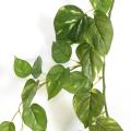 Pothos Artificiel Guirlande