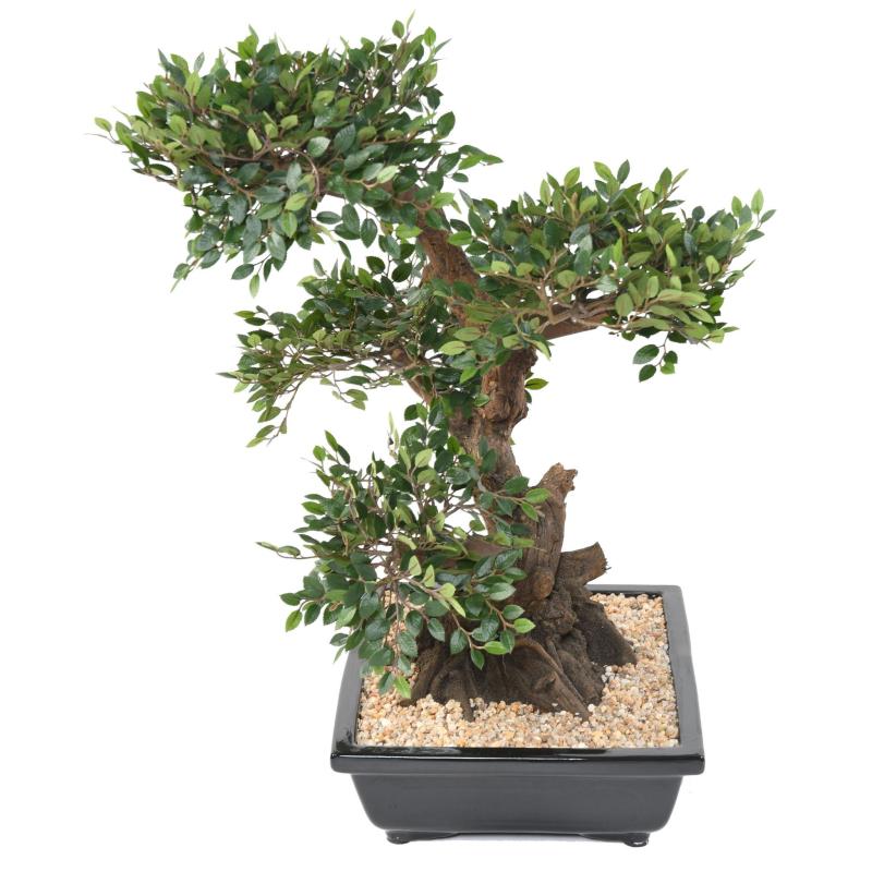 Bonsai Orme Artificiel en Coupe Gravier