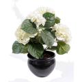 Hortensia Artificielle Plant 5T