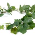 Vigne Artificielle Guirlande
