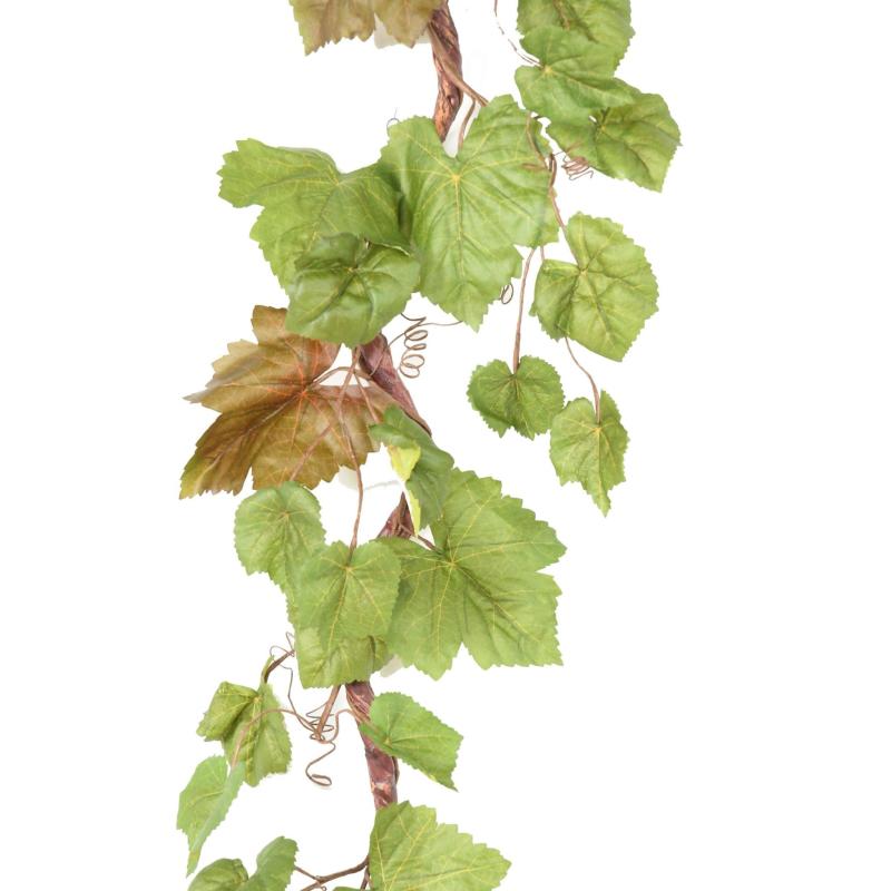 Vigne Artificielle Branche