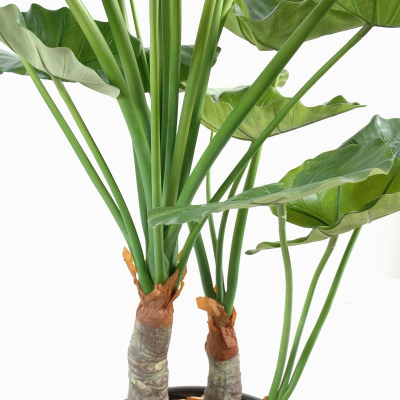 Alocasia Artificiel Calidora 3 Troncs