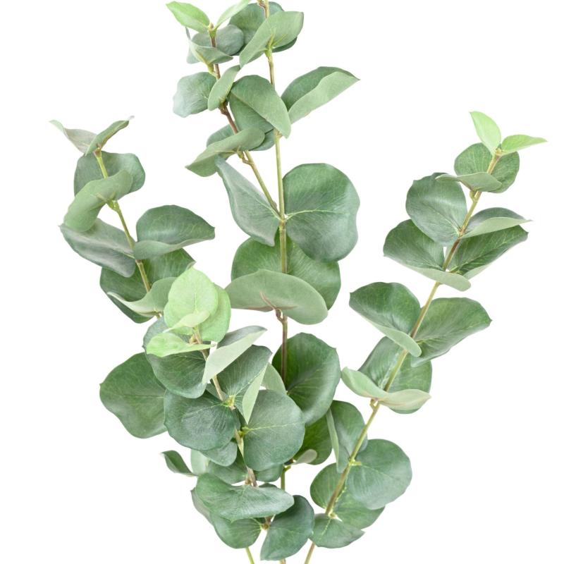 Eucalyptus Artificiel Gunnii SPRAY