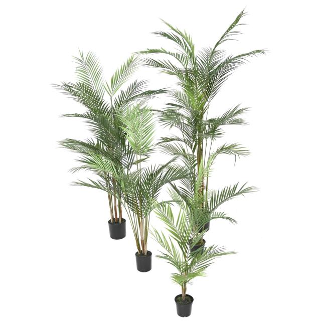 Areca PLAST Artificiel