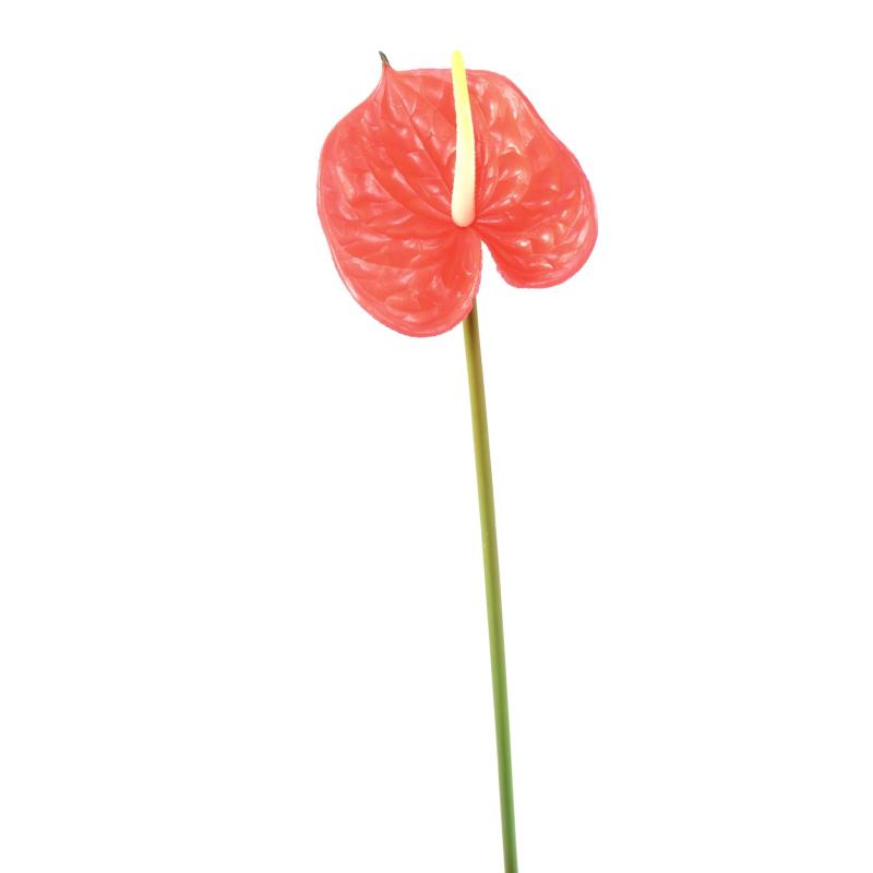 Anthurium Artificiel SPRAY 58