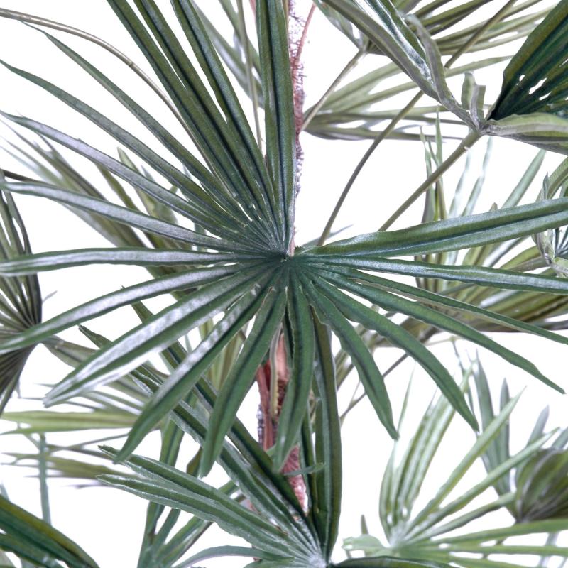 Livistonia Artificiel