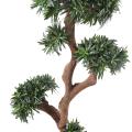 Podocarpus Artificiel TREE