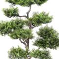 Pin Artificiel Bonsai