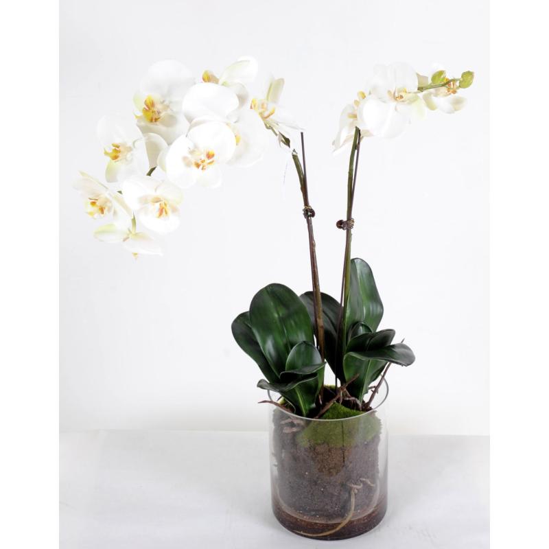 Phalaenopsis Artificielle Vase Rond