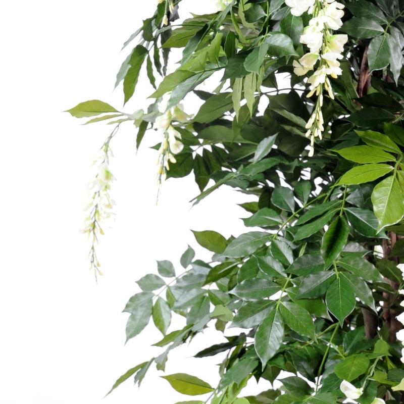 Glycine Artificielle Multi TREE