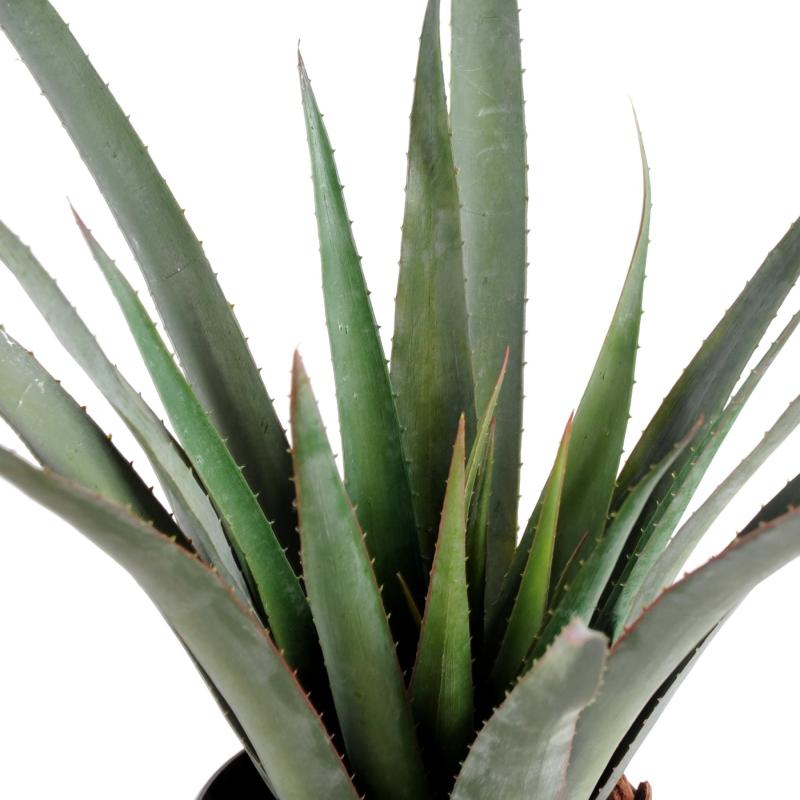 Aloe Artificielle Ferox Plastique