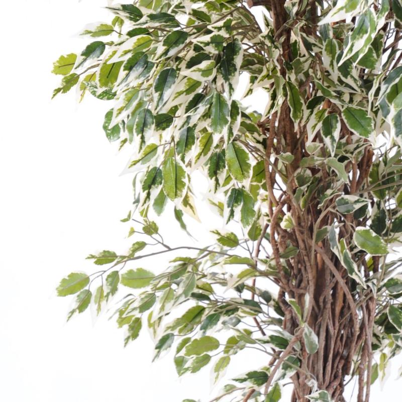 Ficus Artificiel Lianes PF