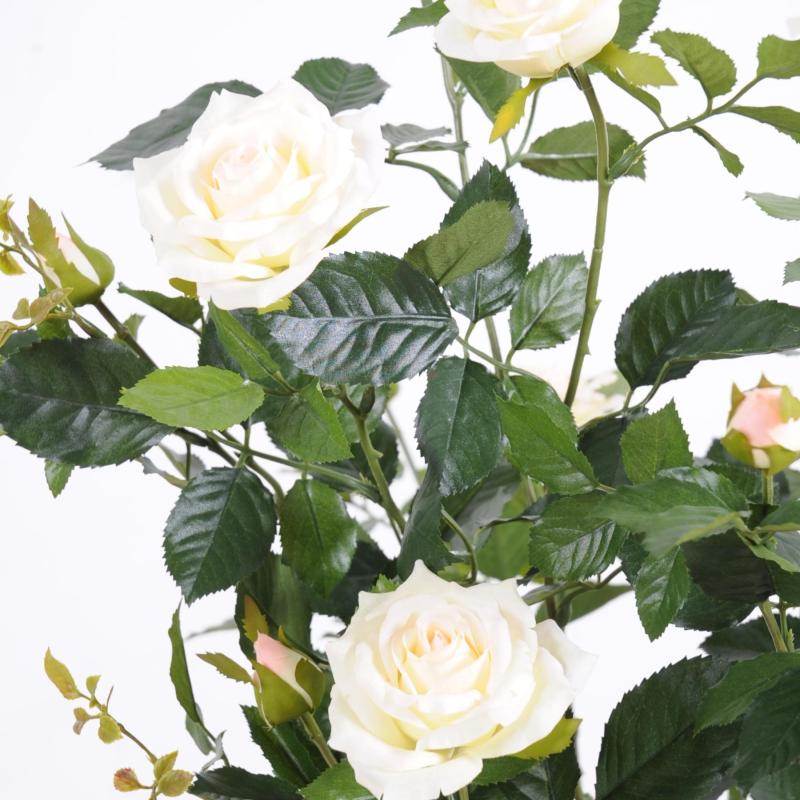 Rosier Artificiel Royal