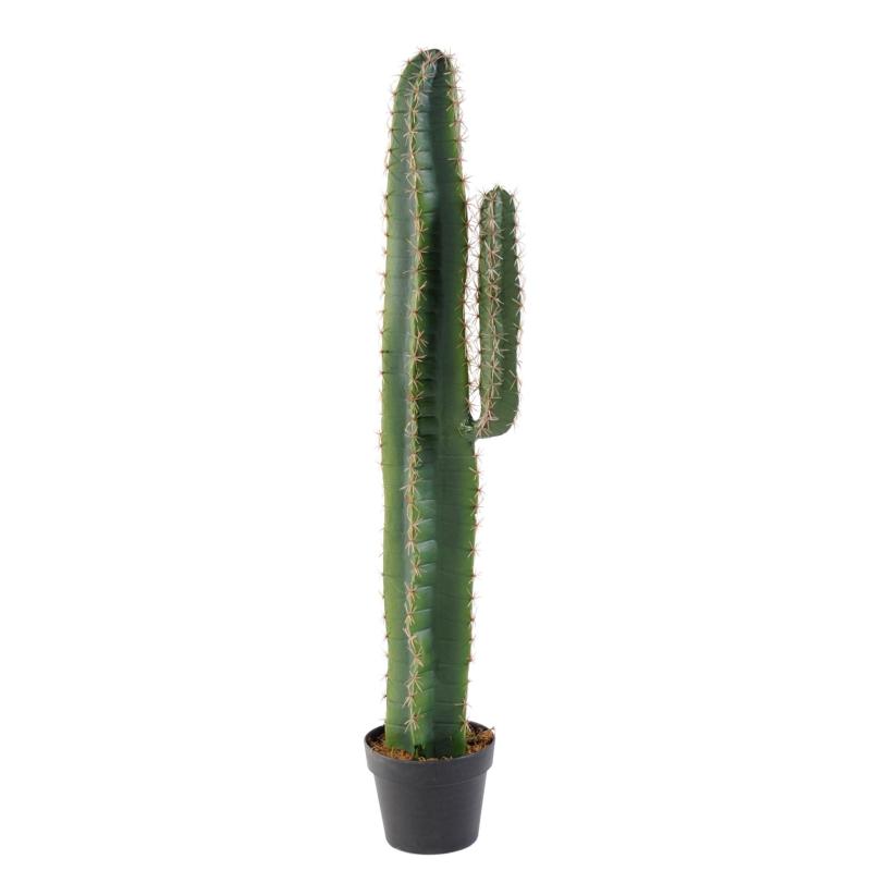 Cactus Artificiel Cereus