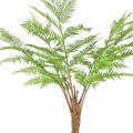 Dicksonia Artificielle (fougere)
