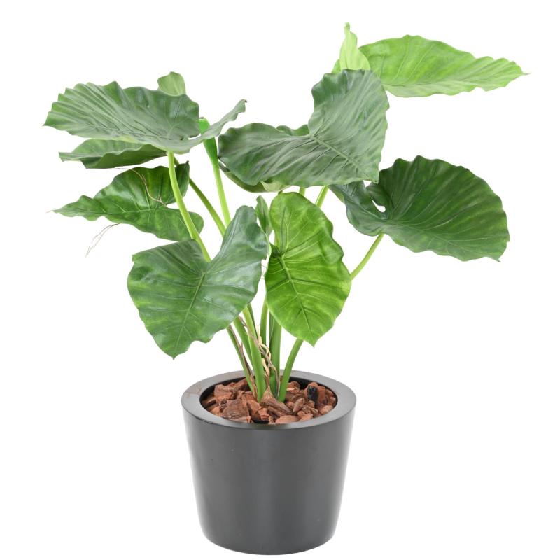 Alocasia Artificiel Calidora