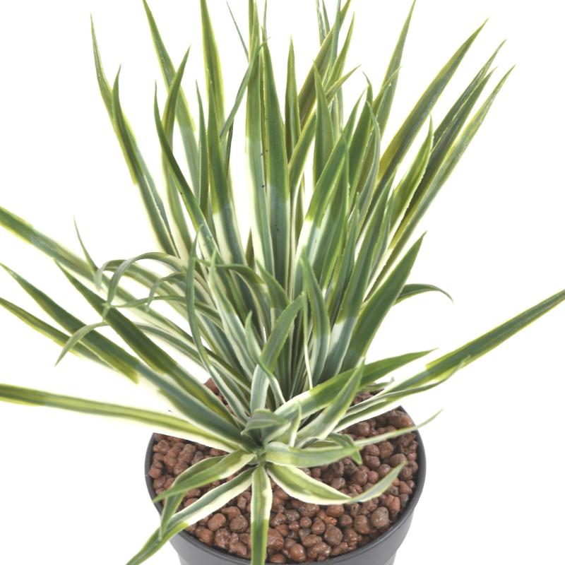 Yucca Artificiel Golden Sword