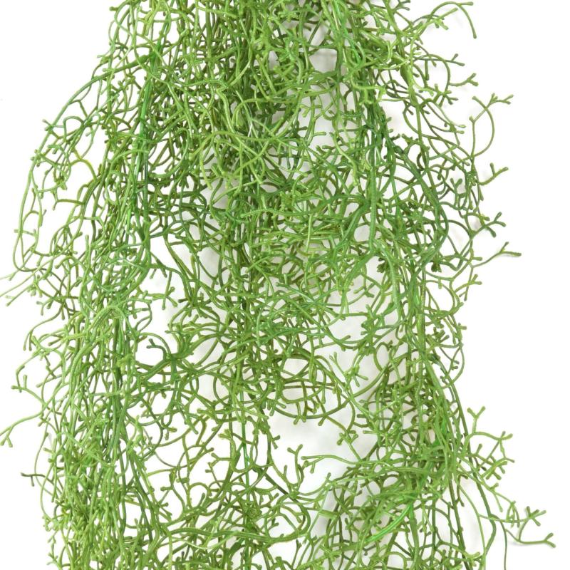 Tillandsia Artificiel Chute