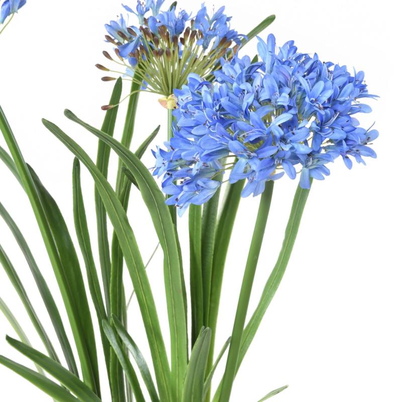 Agapanthe Artificielle en Motte