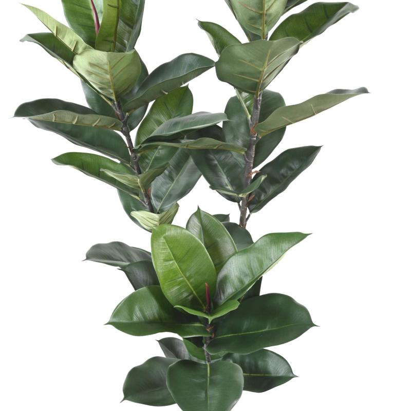 Rubber Plant Artificiel , Ficus Elastica