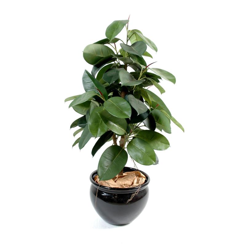 Ficus Artificiel Elastica (rubber Plant Tree)