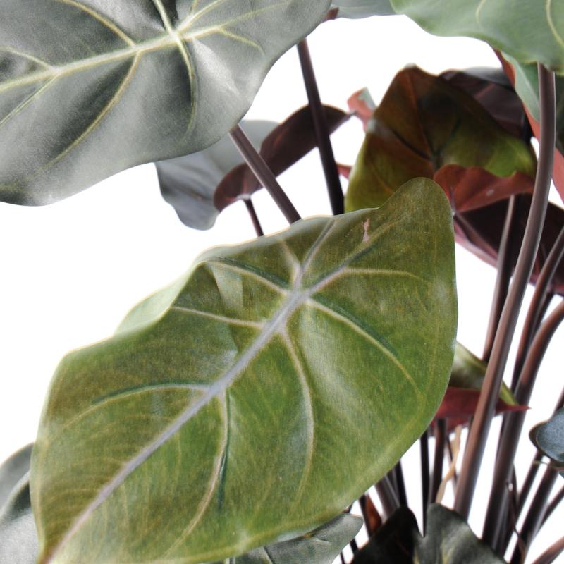 Syngonium Artificiel Podophyllum