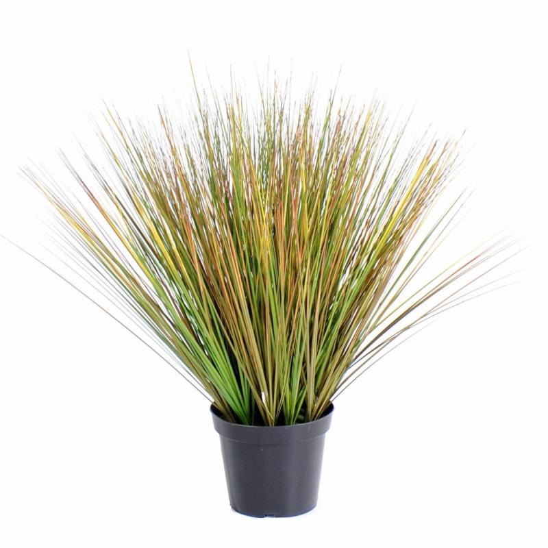 Onion Artificiel Grass Round GF