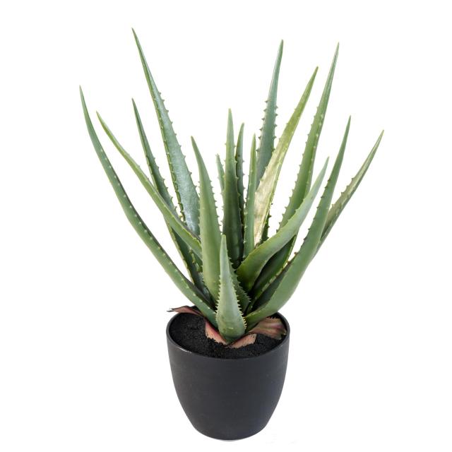 Aloe Artificielle 48