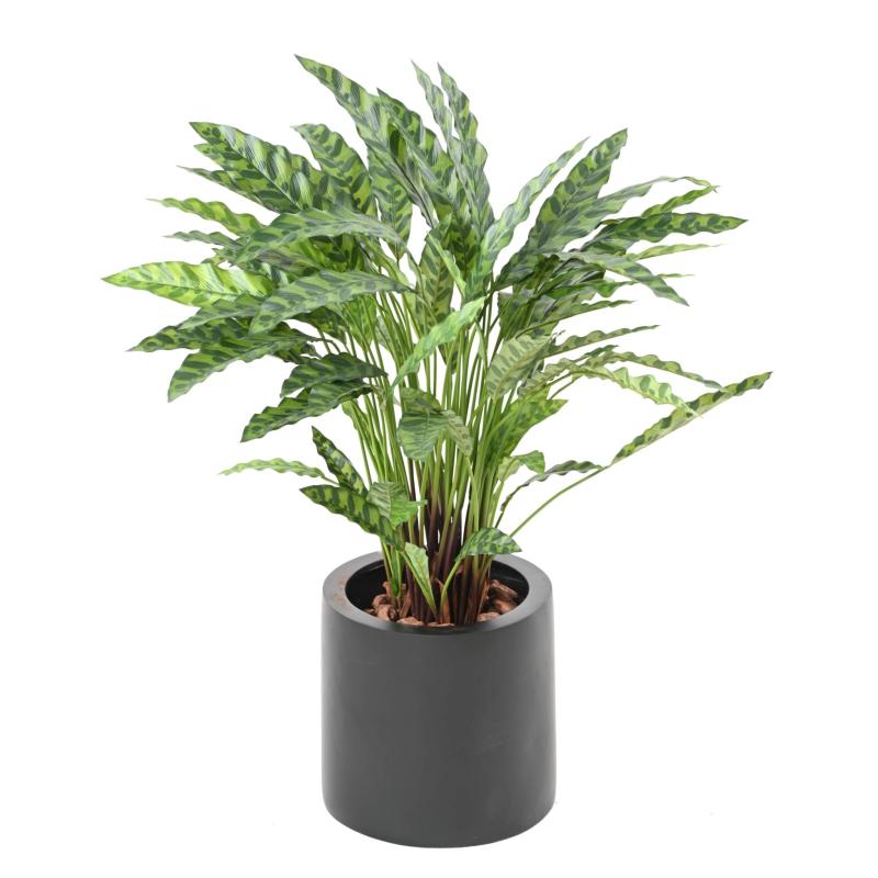 Calathea Artificiel 90cm en Pot