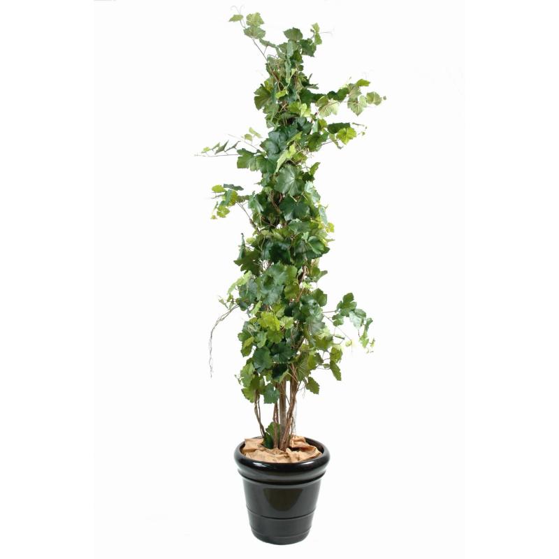 Vigne Artificielle TREE