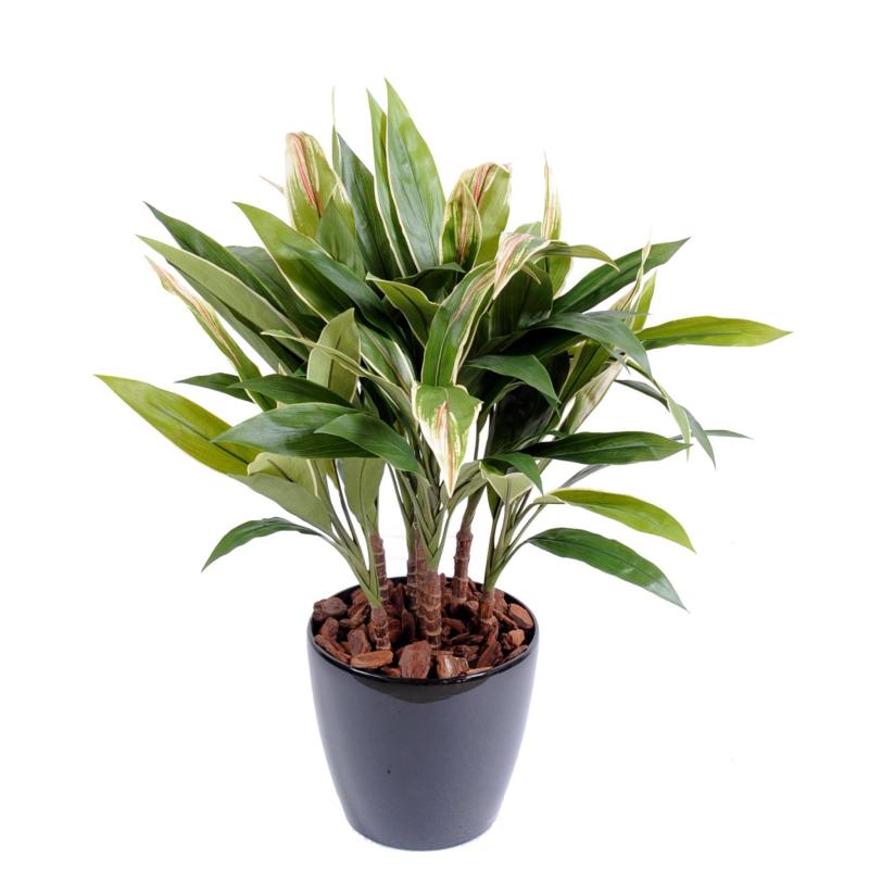 Dracaena Artificiel Cordyline Touffe