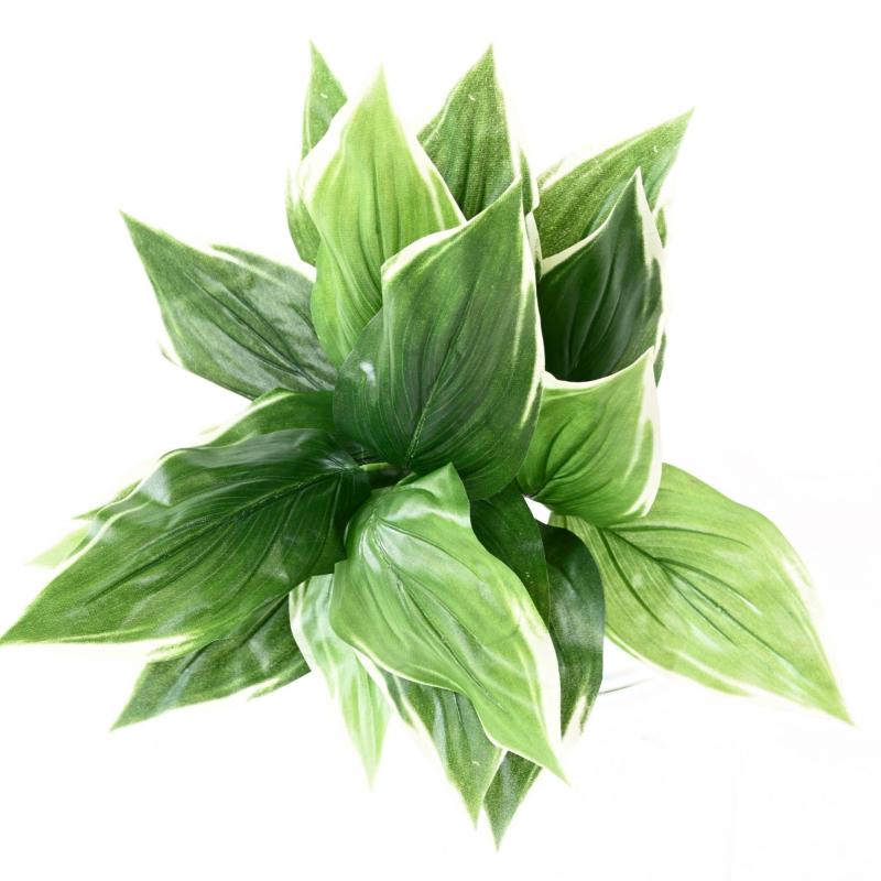 Hosta Artificiel 18 Feuilles