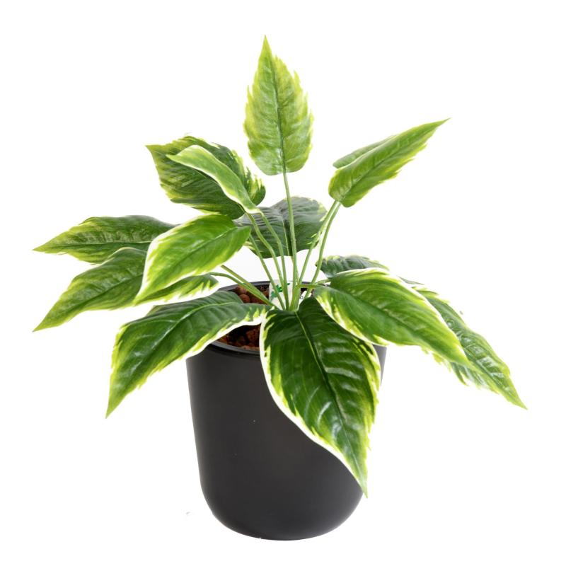 Hosta Artificiel Mini
