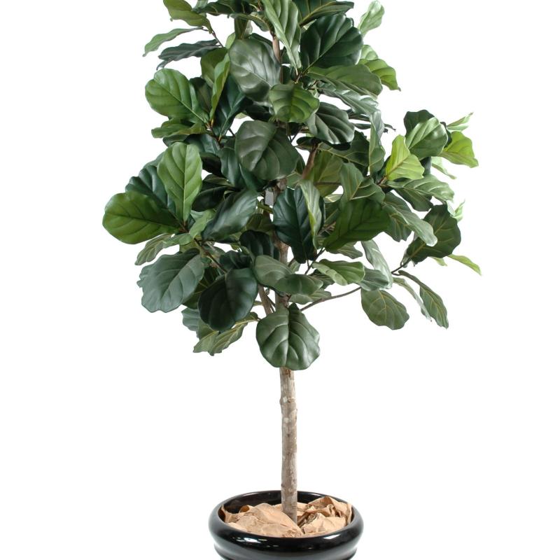 Lyrata Artificiel (figuier)