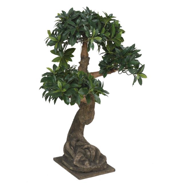 Bonsai Euonymus Japonicus Ficus Artificiel